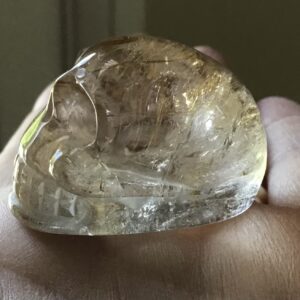 Gold Rutile Crystal Quartz Skull - Image 9