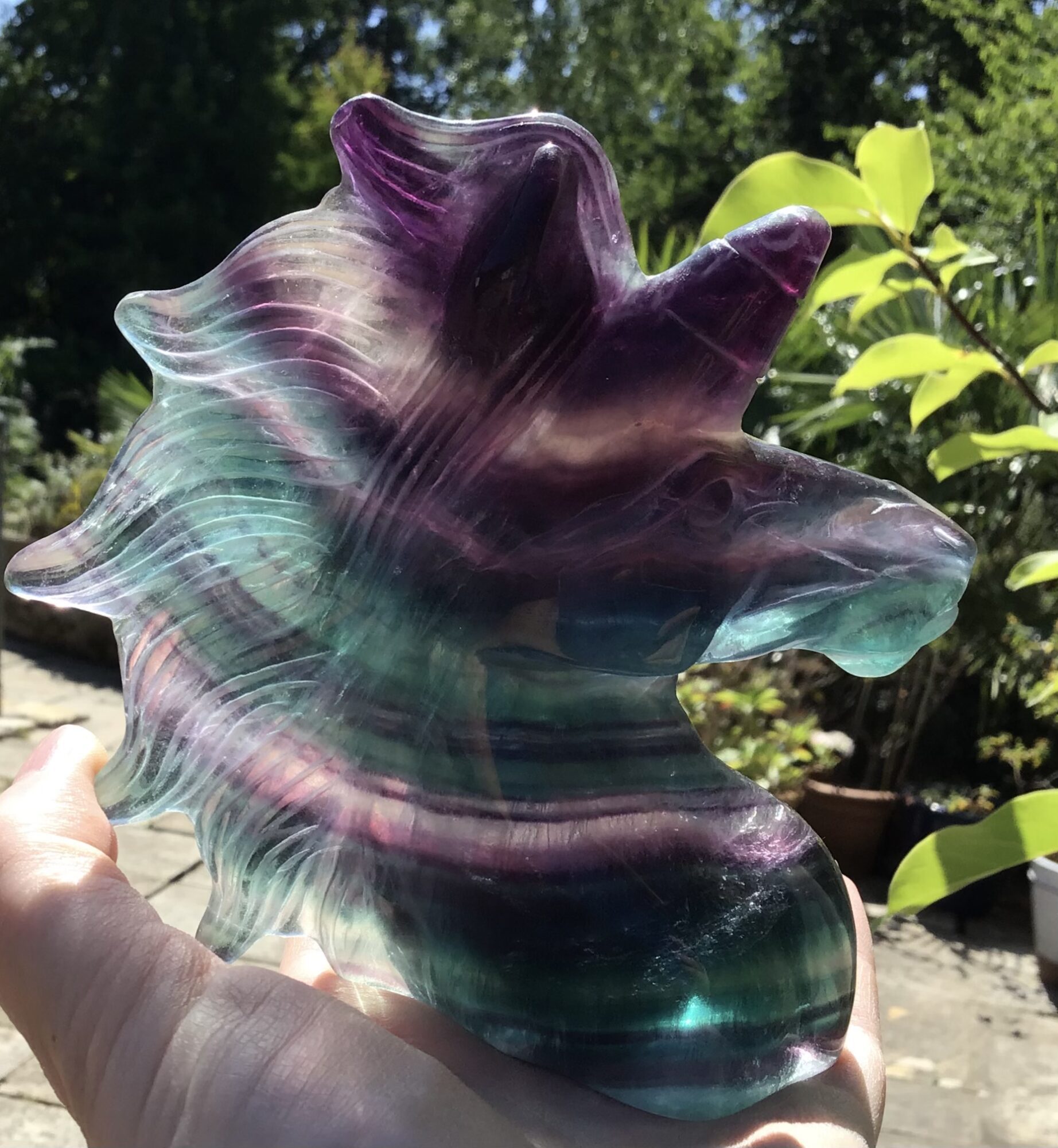 Large Rainbow Fluorite Crystal Unicorn