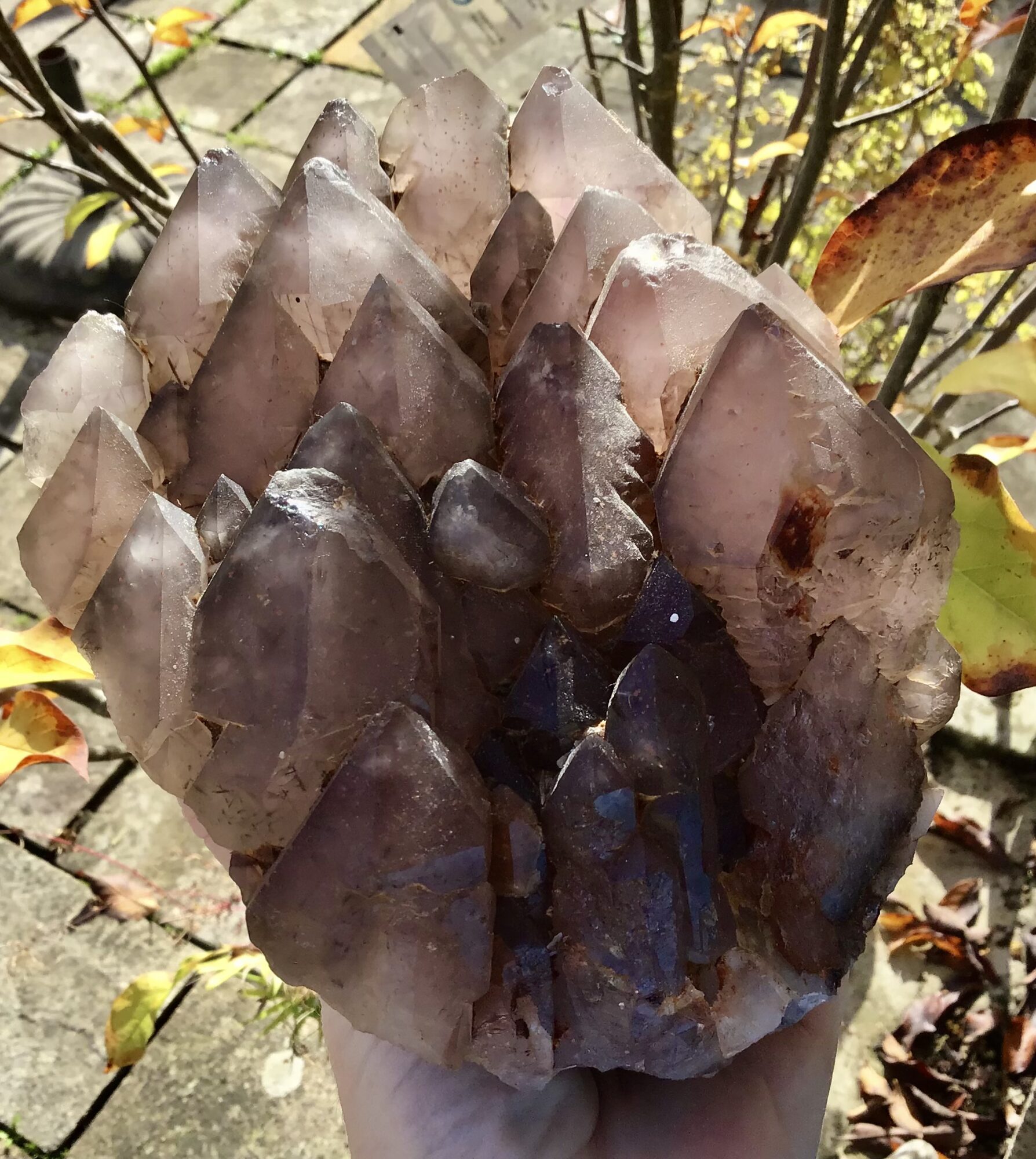 Super Seven Elestial Amethyst Crystal