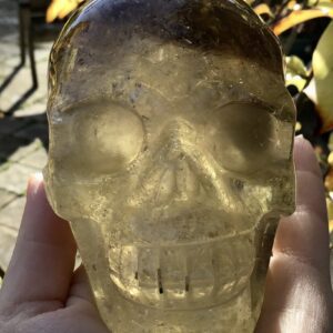 Citrine Smoky Crystal Skull - Image 4