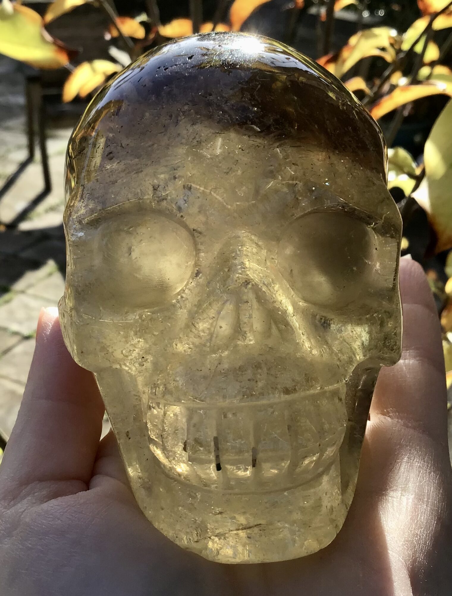 Citrine Smoky Crystal Skull