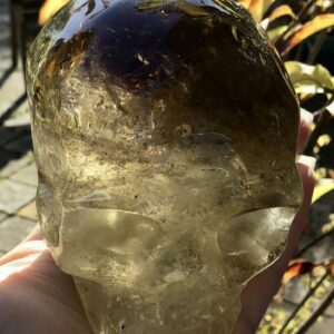 Citrine Smoky Crystal Skull - Image 6