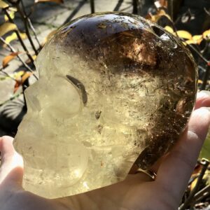 Citrine Smoky Crystal Skull - Image 5
