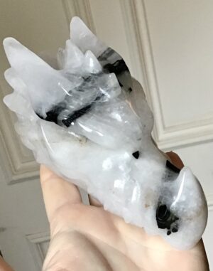 Black Tourmaline Quartz Crystal Dragon