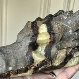Septarian ‘Dragon Stone’ Crystal Dragon - Image 6