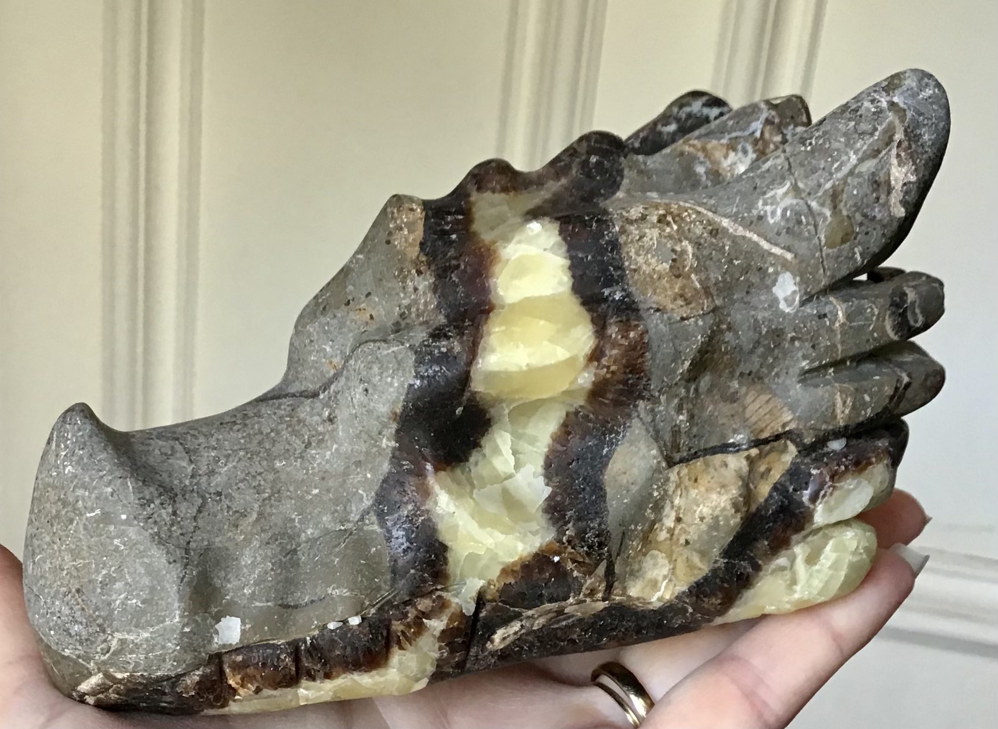 Septarian ‘Dragon Stone’ Crystal Dragon