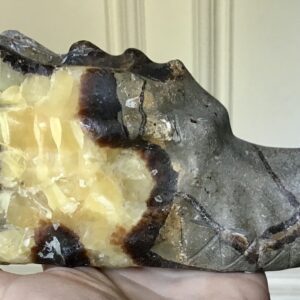Septarian ‘Dragon Stone’ Crystal Dragon - Image 3
