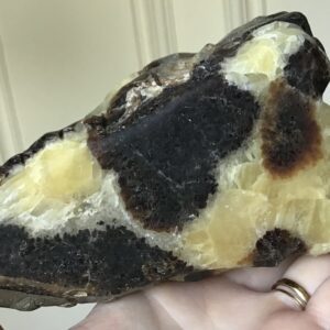 Septarian ‘Dragon Stone’ Crystal Dragon - Image 8