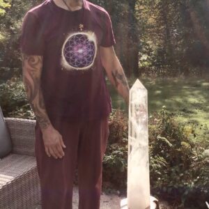 Incredible Huge Quartz Crystal Generator - Image 7